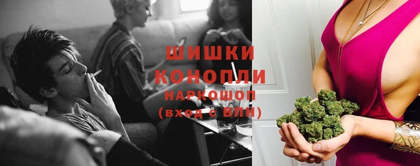 гашик Новокубанск