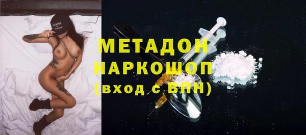 индика Алексин