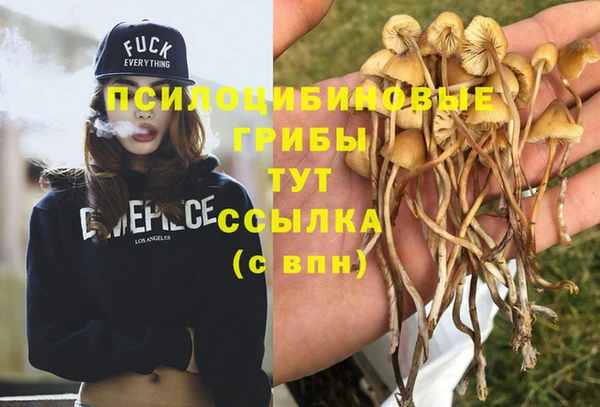 марки lsd Абаза