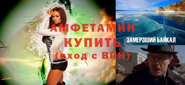 индика Алексин